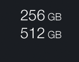storage 256 512 gb si