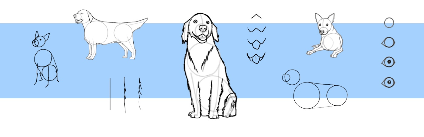 犬の描き方