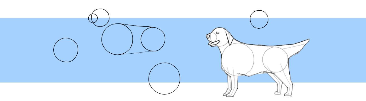 simple dog drawings step by step