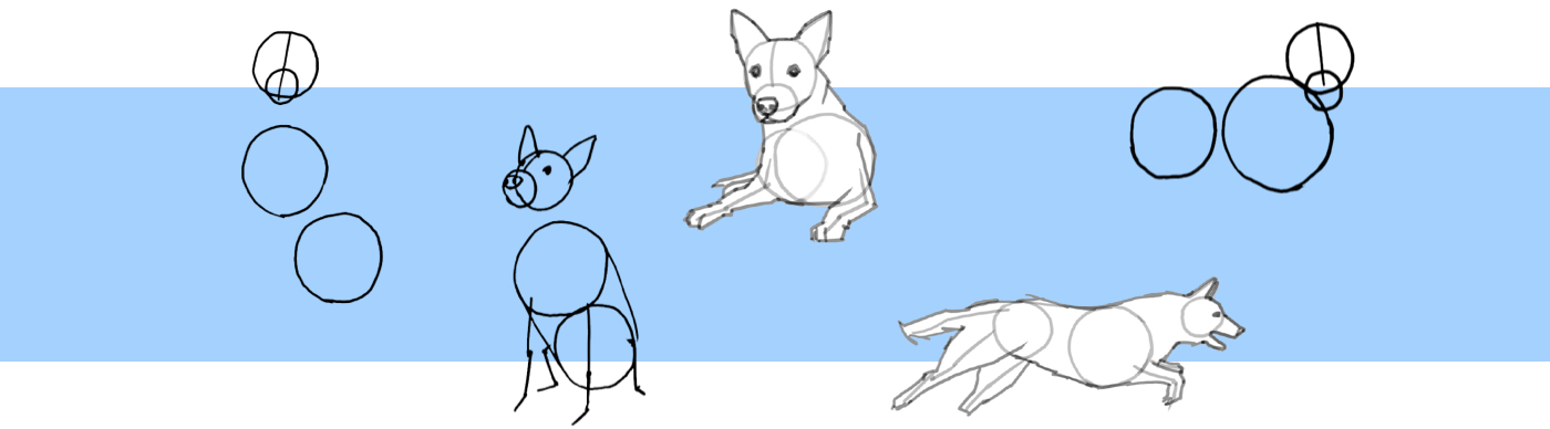 犬の描き方
