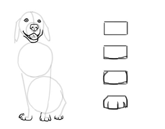 step by step drawings of dogs