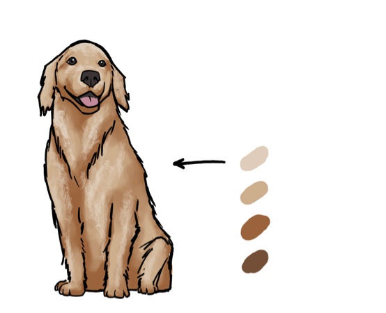 How to draw a dog step by step