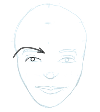 female face anatomy drawing
