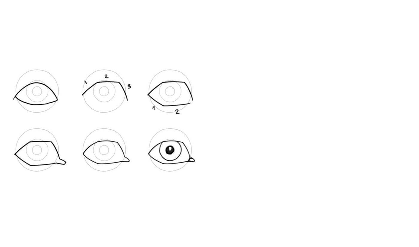 How to draw eyes step by step
