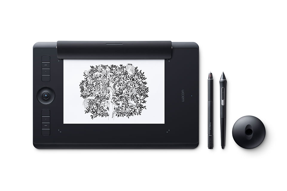 Tablette graphique a stylet Bluetooth - Stylet Pro Pen 2 - Saisie  Multi-Touch - Surface ative 311x216mm - 8192 niveaux de pression - Noire -  Port